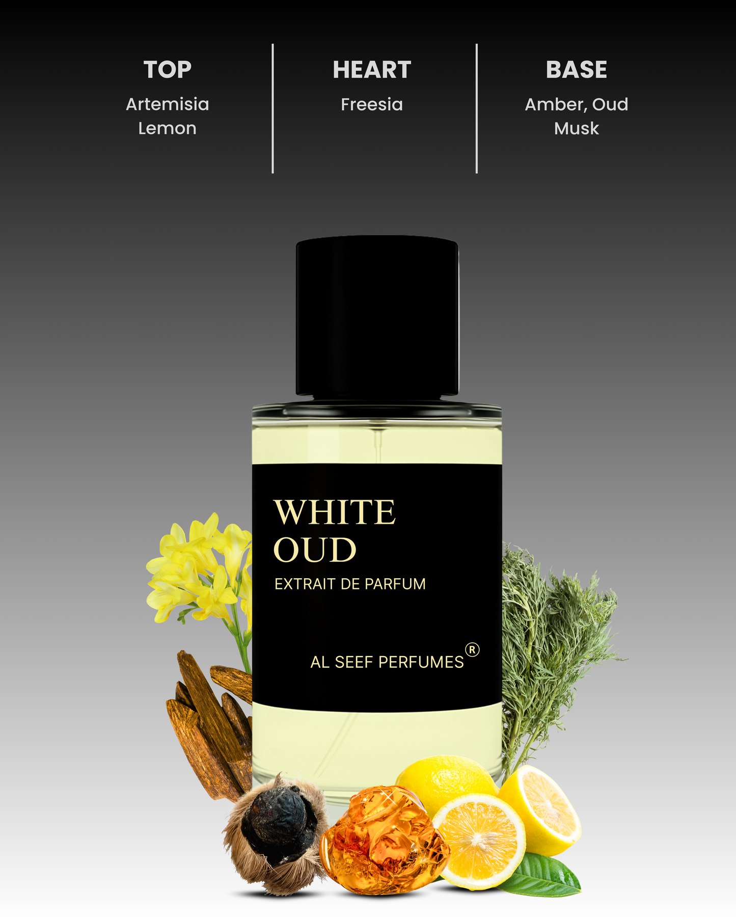 White Oud Premium Men Perfume Spray (30ml & 100ml) | Extrait De Parfum (40%) Concentration | Citrusy, Floral, Musky, Warm | Luxury Fragrance For Him by Al Seef Perfumes