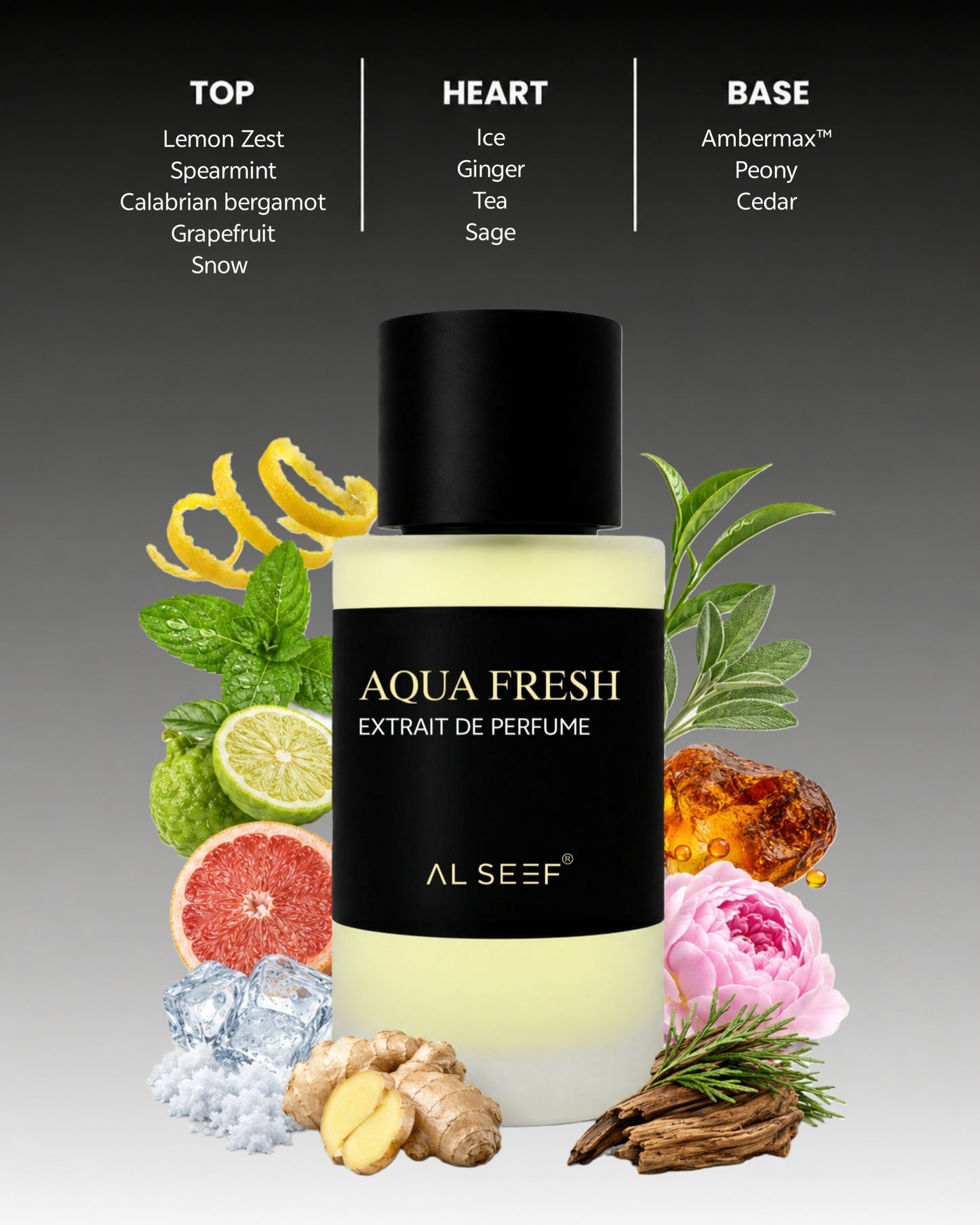 AQUA FRESH Premium Unisex Perfume Spray (30ml & 100ml) | Extrait De Parfum | Luxury Fragrance For Him