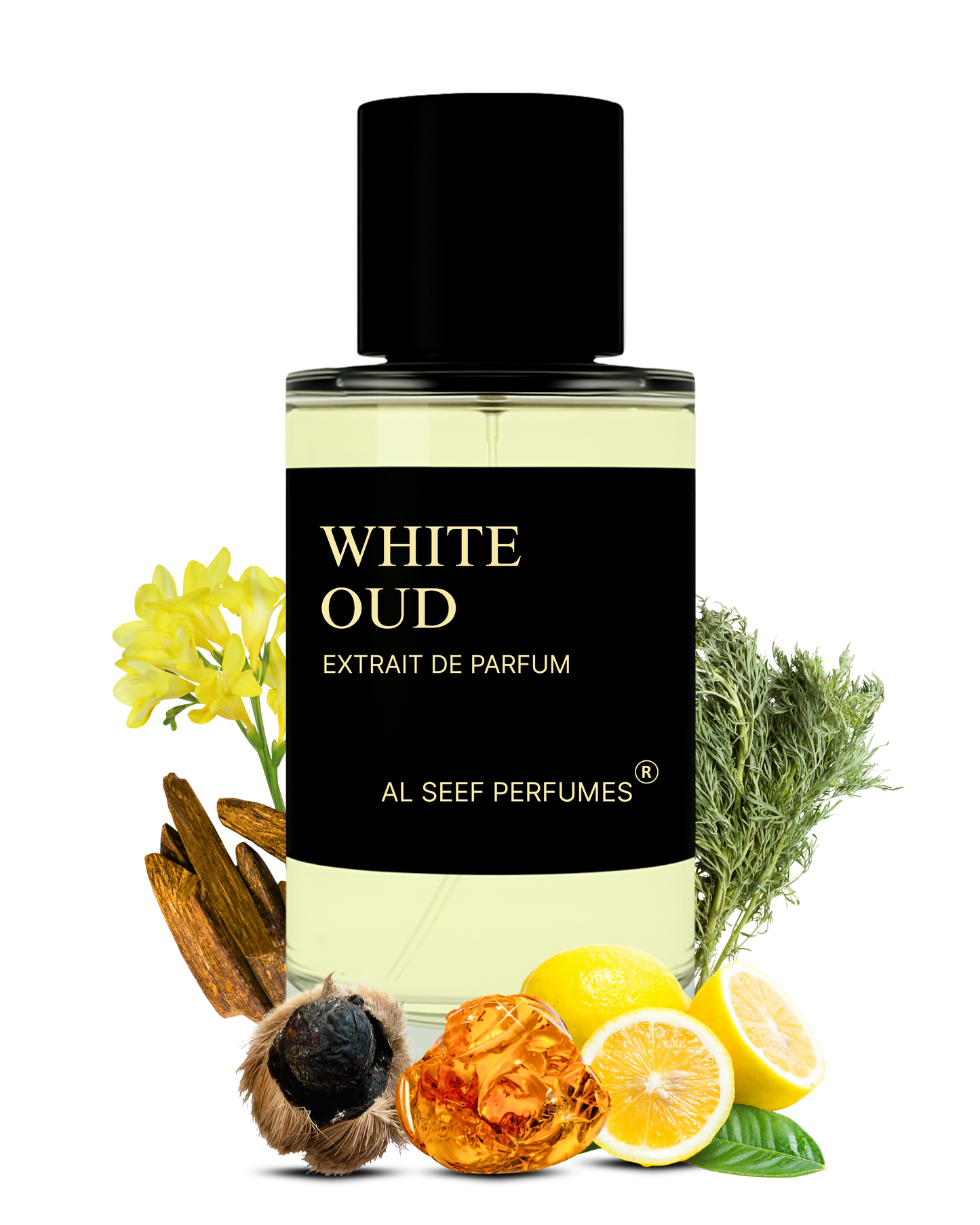 White Oud Premium Men Perfume Spray (30ml & 100ml) | Extrait De Parfum (40%) Concentration | Citrusy, Floral, Musky, Warm | Luxury Fragrance For Him by Al Seef Perfumes