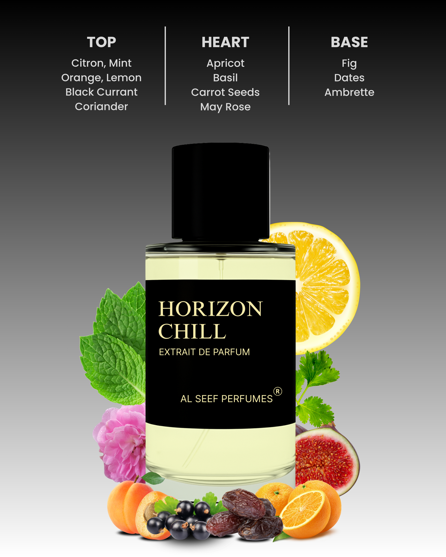 HORIZON CHILL Premium Perfume Spray (30ml, 100ml) | Extrait De Parfum | Luxury Fragrance For Him