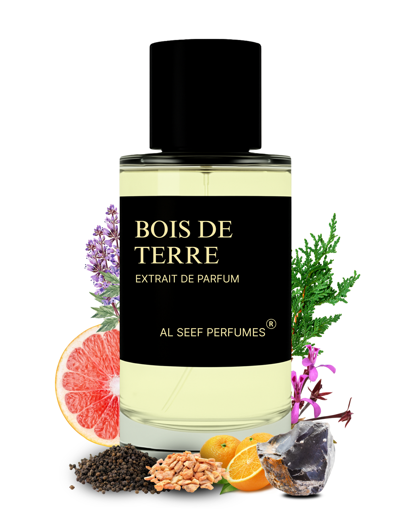 BOIS DE TERRE Premium Perfume Spray (30ml, 100ml) | Extrait De Parfum | Luxury Fragrance For Him