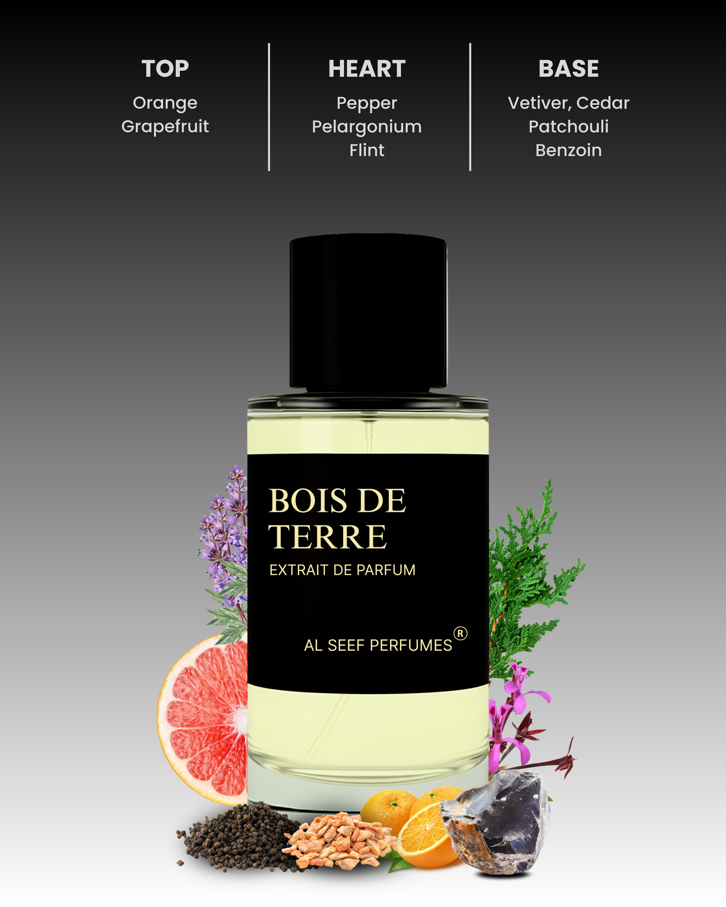 BOIS DE TERRE Premium Perfume Spray (30ml, 100ml) | Extrait De Parfum | Luxury Fragrance For Him