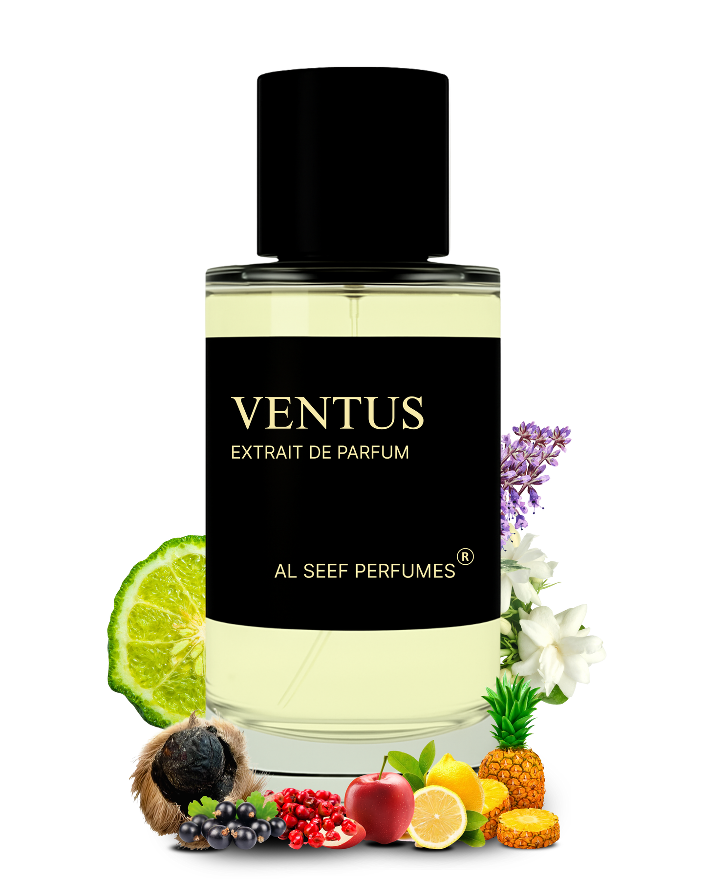 VENTUS Premium Perfume Spray (30ml, 100ml) | Extrait De Parfum | Luxury Fragrance For Him