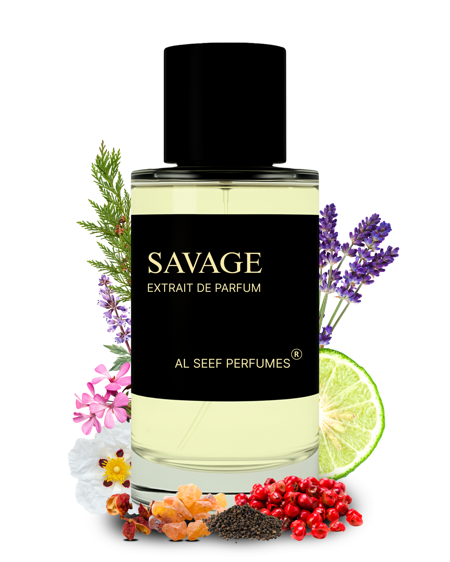 SAVAGE Premium Perfume Spray (30ml, 100ml) | Extrait De Parfum | Luxury Fragrance For Him