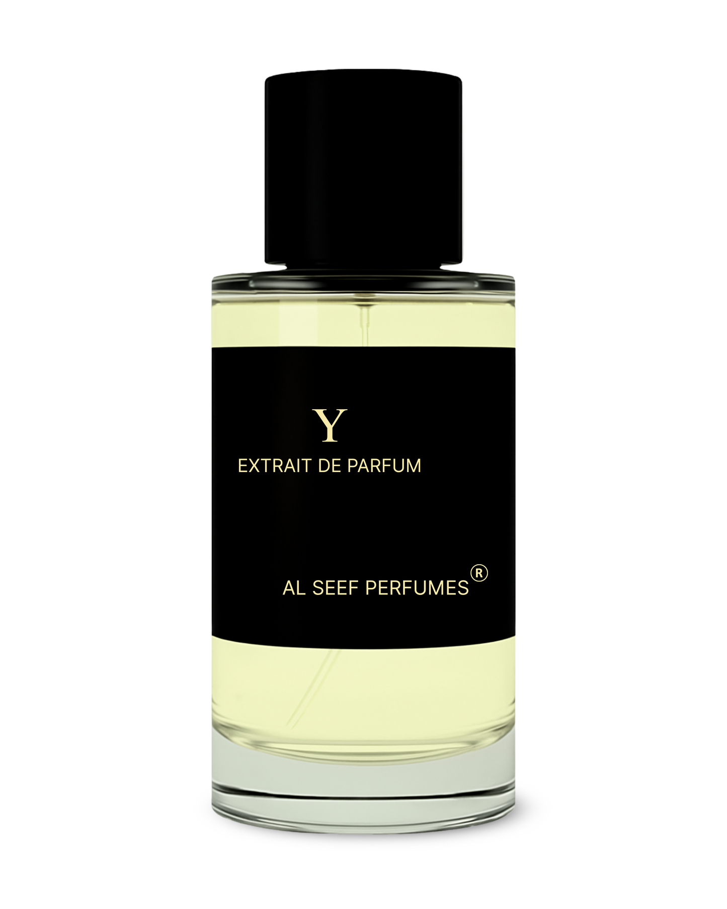 Y Premium Perfume Spray (30ml, 100ml) | Extrait De Parfum | Luxury Fragrance For Him