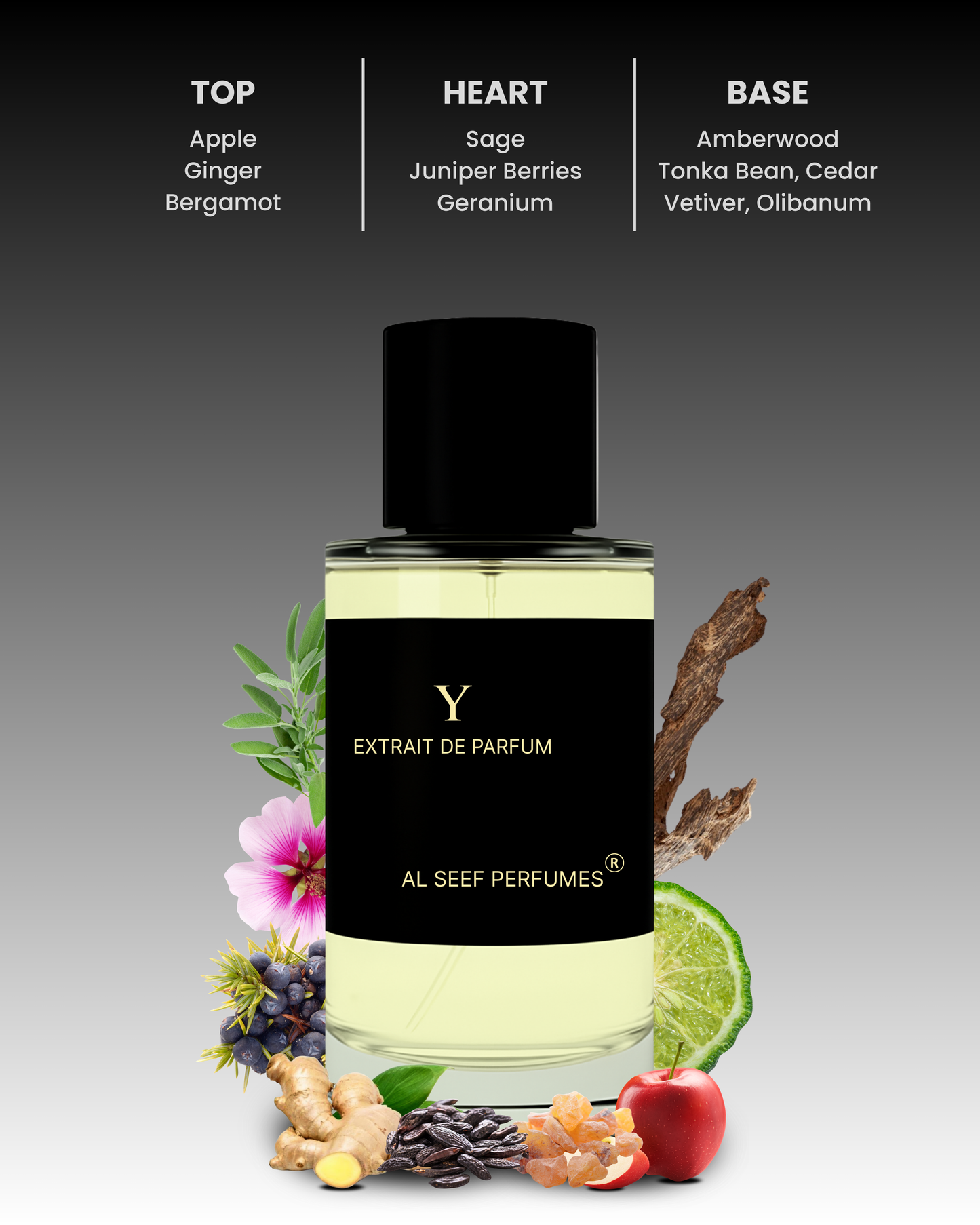 Y Premium Perfume Spray (30ml, 100ml) | Extrait De Parfum | Luxury Fragrance For Him