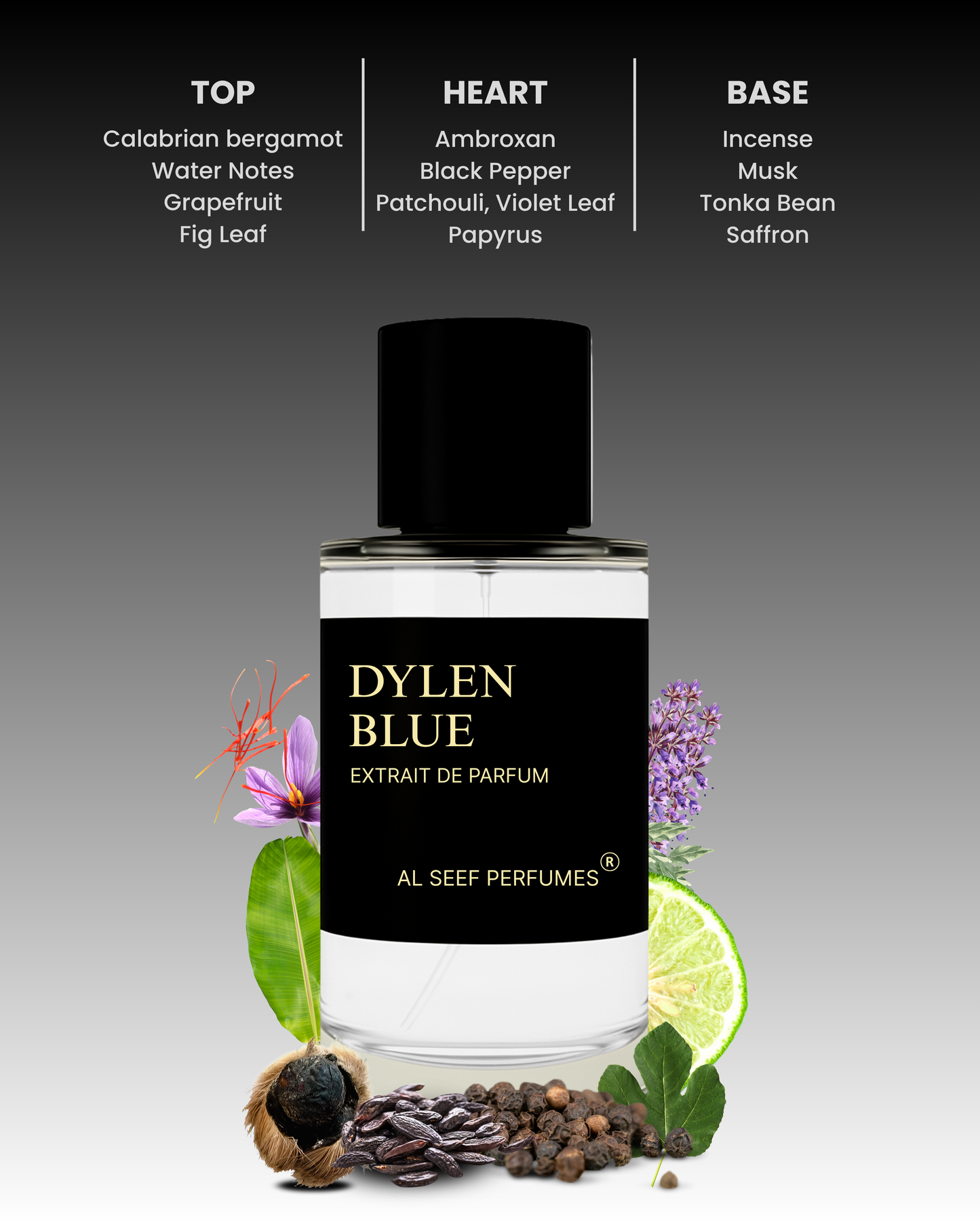 DYLEN BLUE Premium Perfume Spray (30ml, 100ml) | Extrait De Parfum | Luxury Fragrance For Him