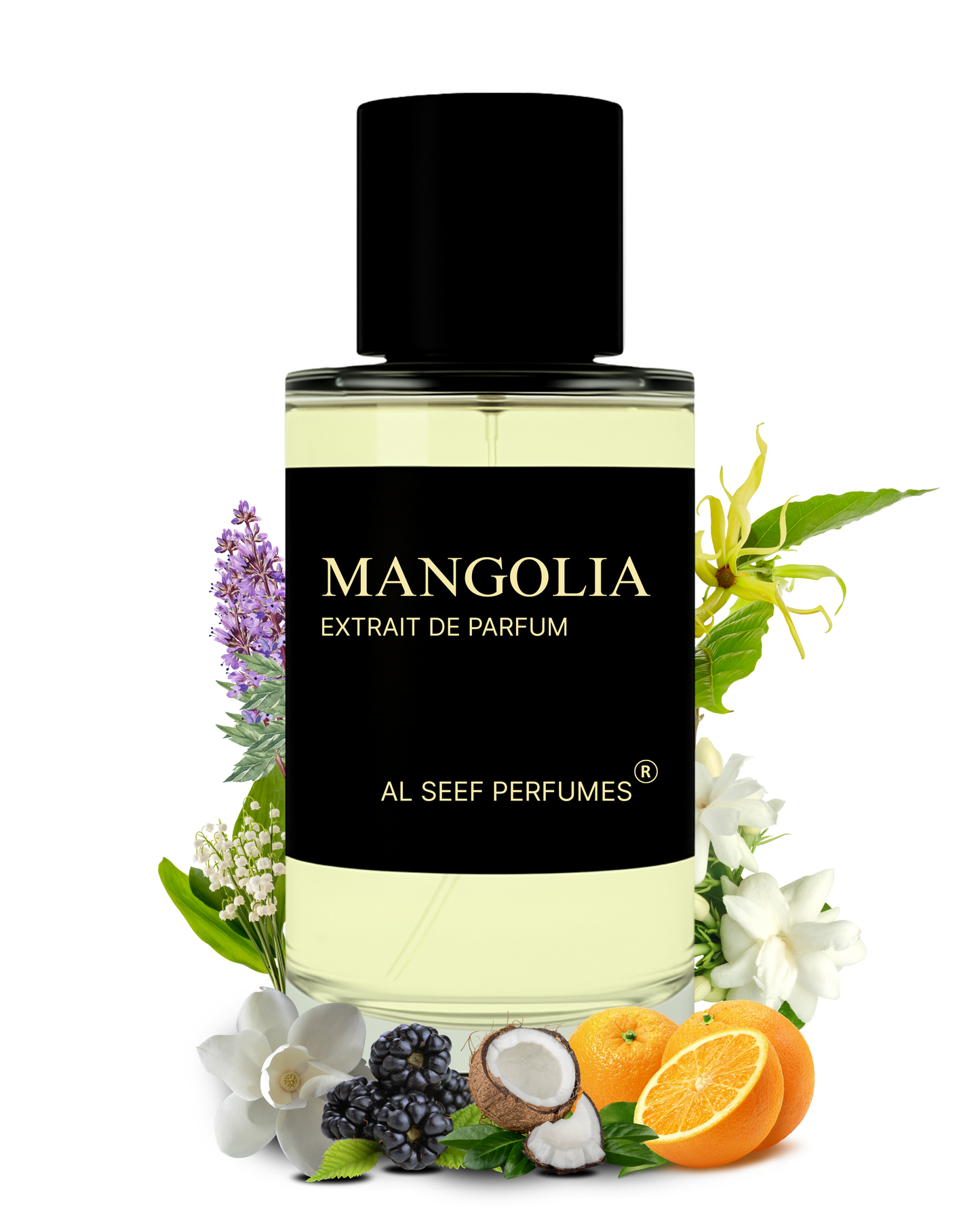 MANGOLIA Premium Perfume Spray (30ml, 100ml) | Extrait De Parfum | Luxury Fragrance For Her