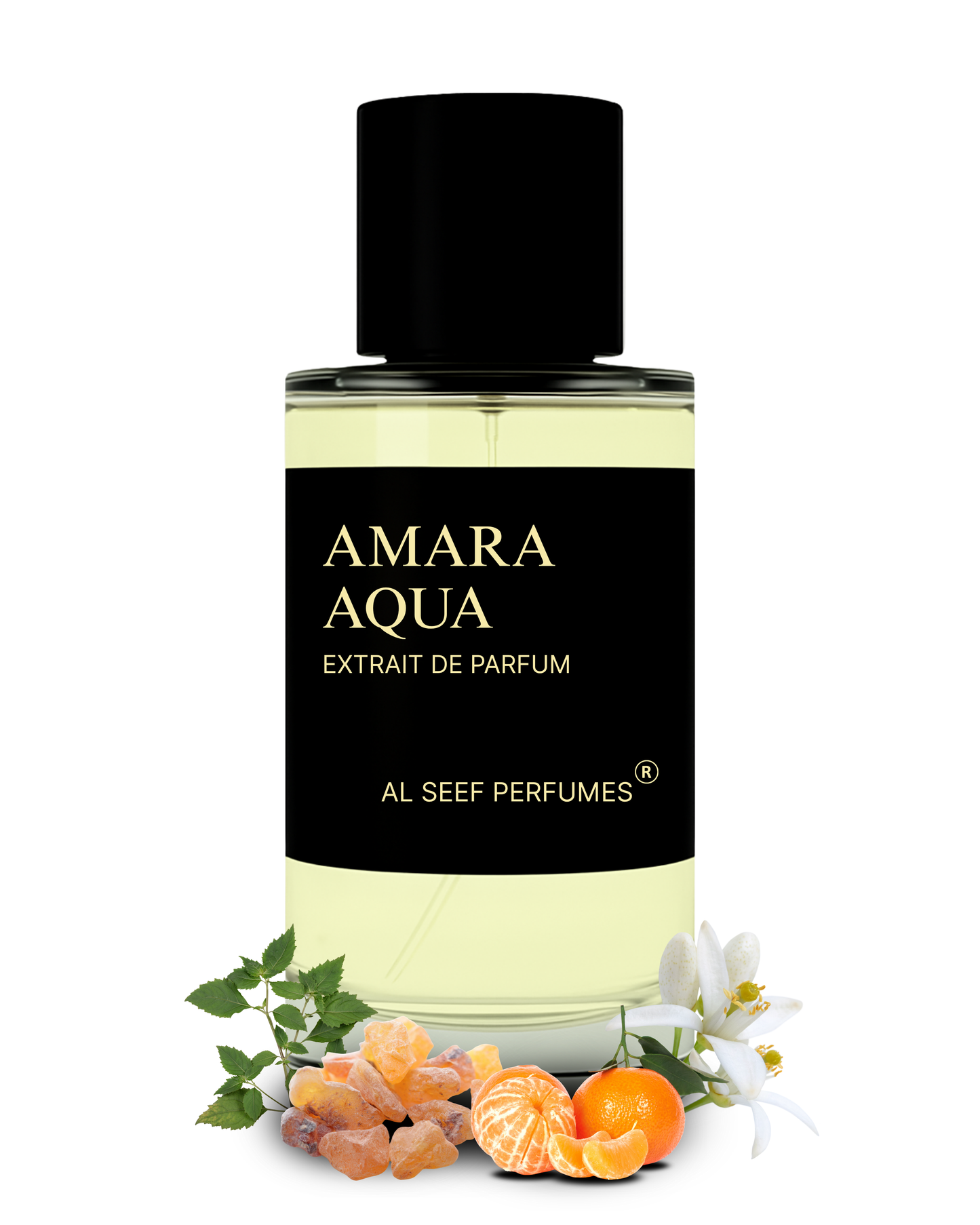 AMARA AQUA Premium Perfume Spray (30ml, 100ml) | Extrait De Parfum | Luxury Fragrance For Him