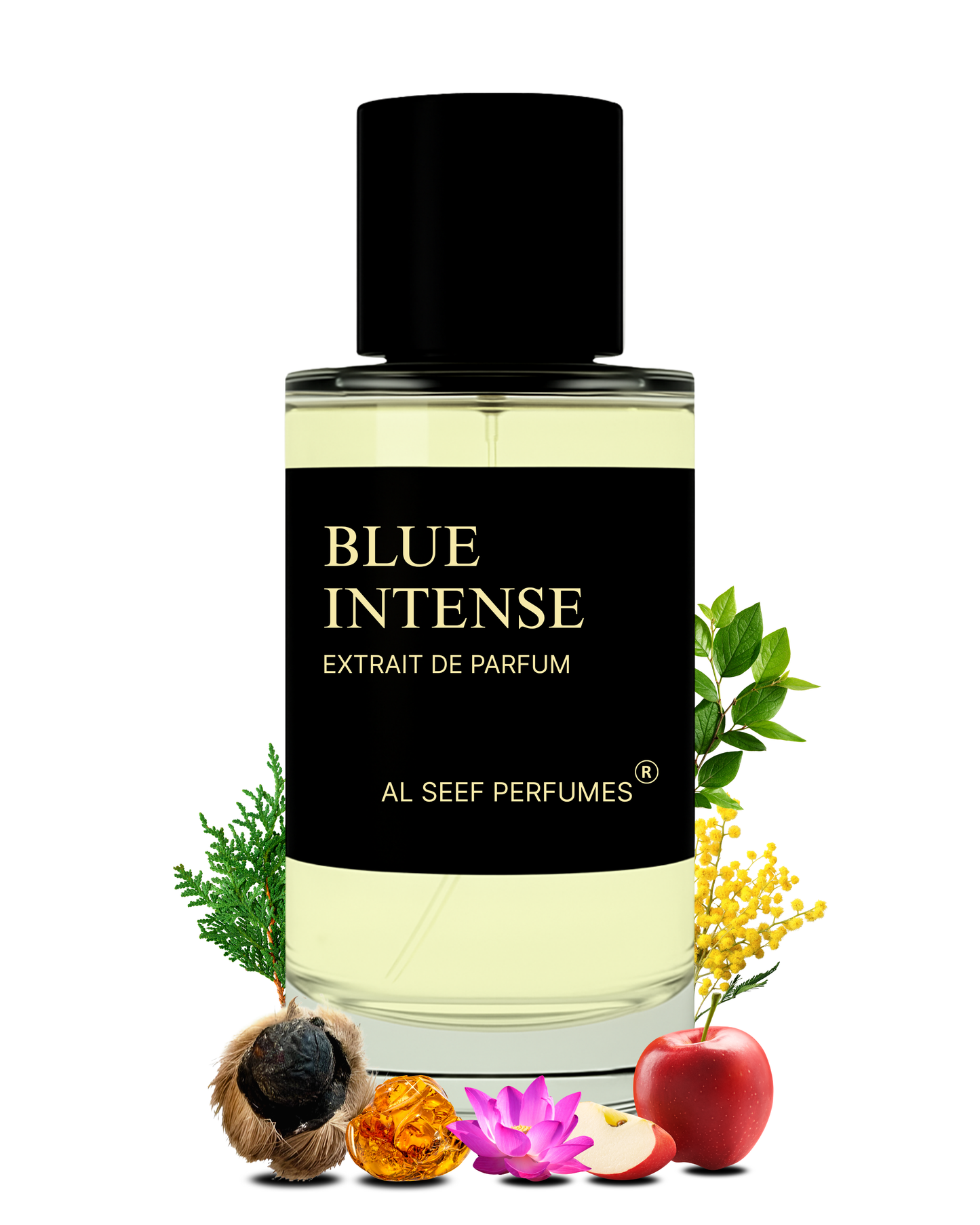 BLUE INTENSE Premium Perfume Spray (30ml, 100ml) | Extrait De Parfum | Luxury Fragrance For Him