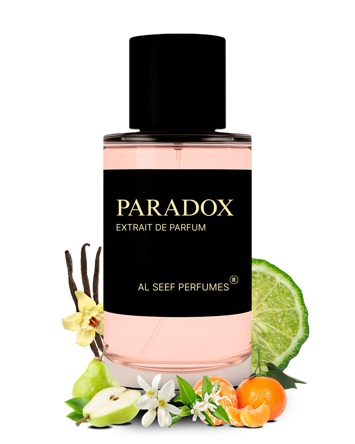 PARADOX Premium Perfume Spray (30ml, 100ml) | Extrait De Parfum | Luxury Fragrance For Her