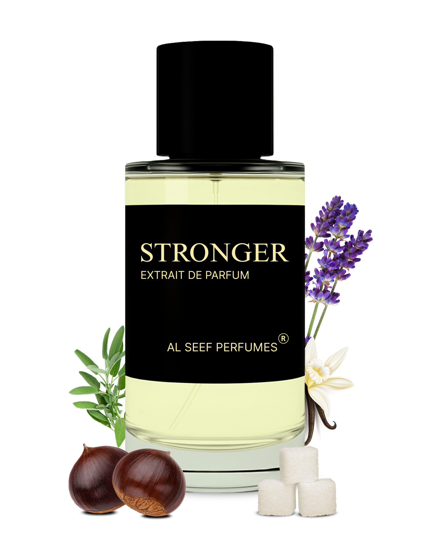 STRONGER Premium Perfume Spray (30ml, 100ml) | Extrait De Parfum | Luxury Fragrance For Him