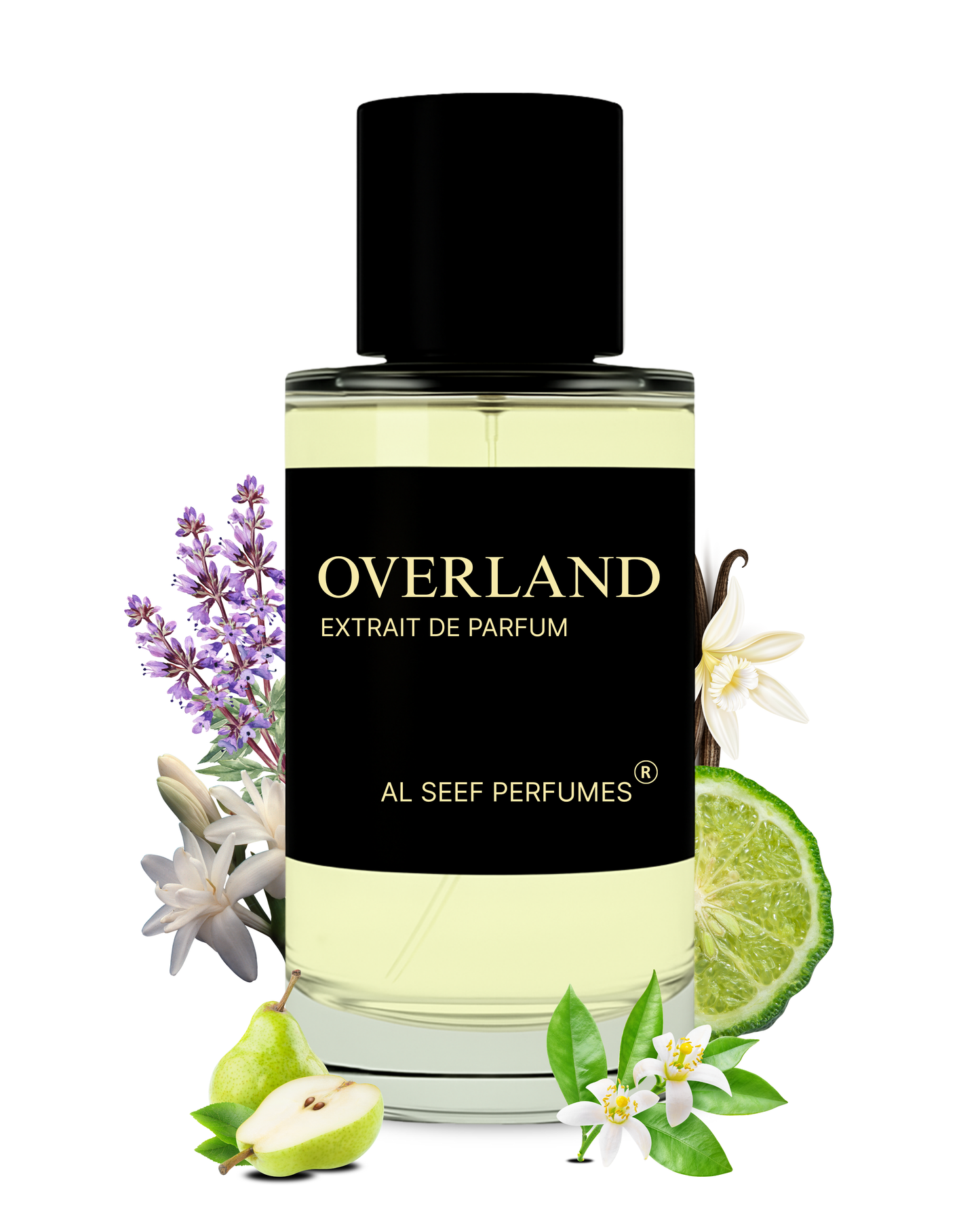 OVERLAND Premium Perfume Spray (30ml, 100ml) | Extrait De Parfum | Luxury Fragrance For Her