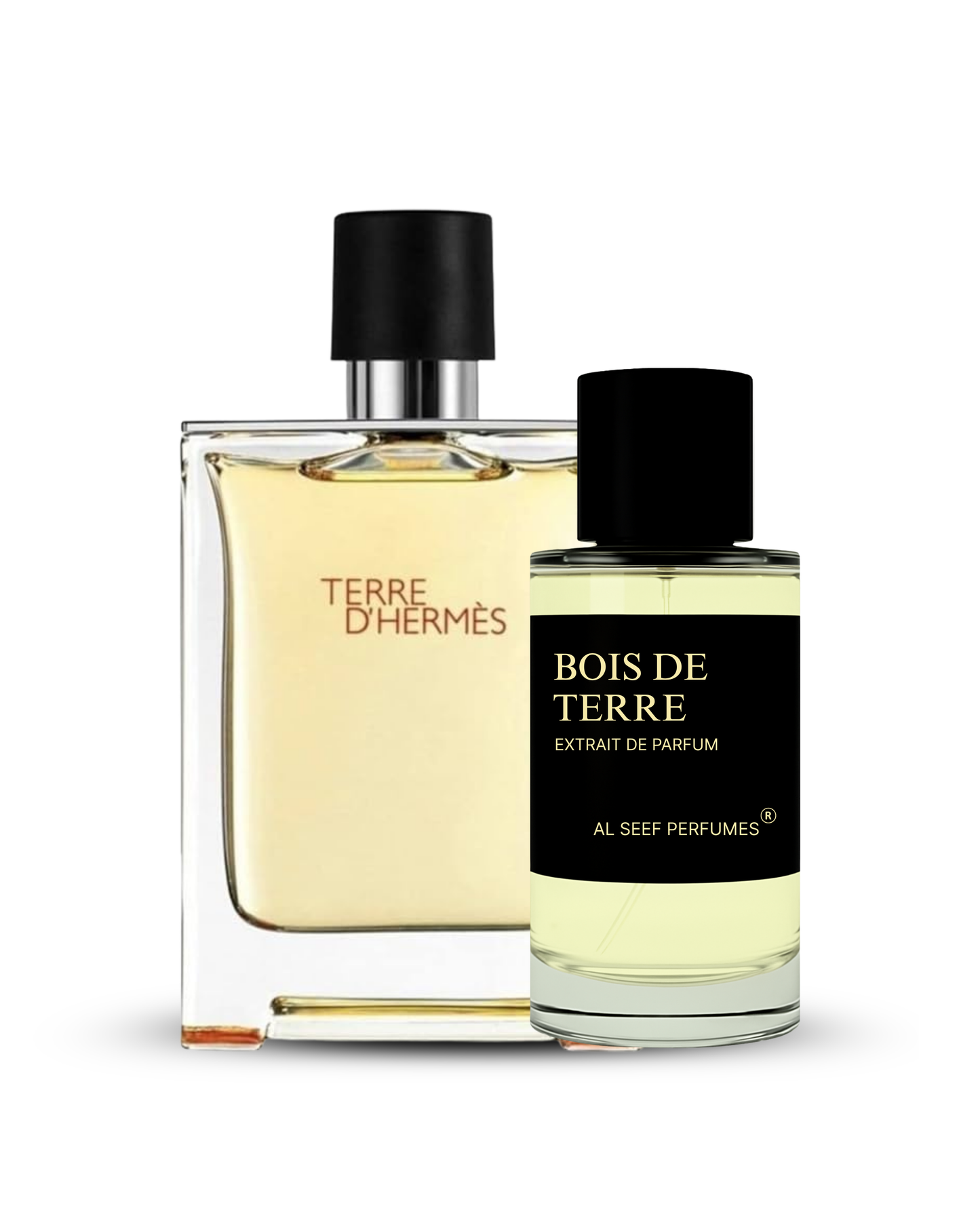 BOIS DE TERRE Premium Perfume Spray (30ml, 100ml) | Extrait De Parfum | Luxury Fragrance For Him