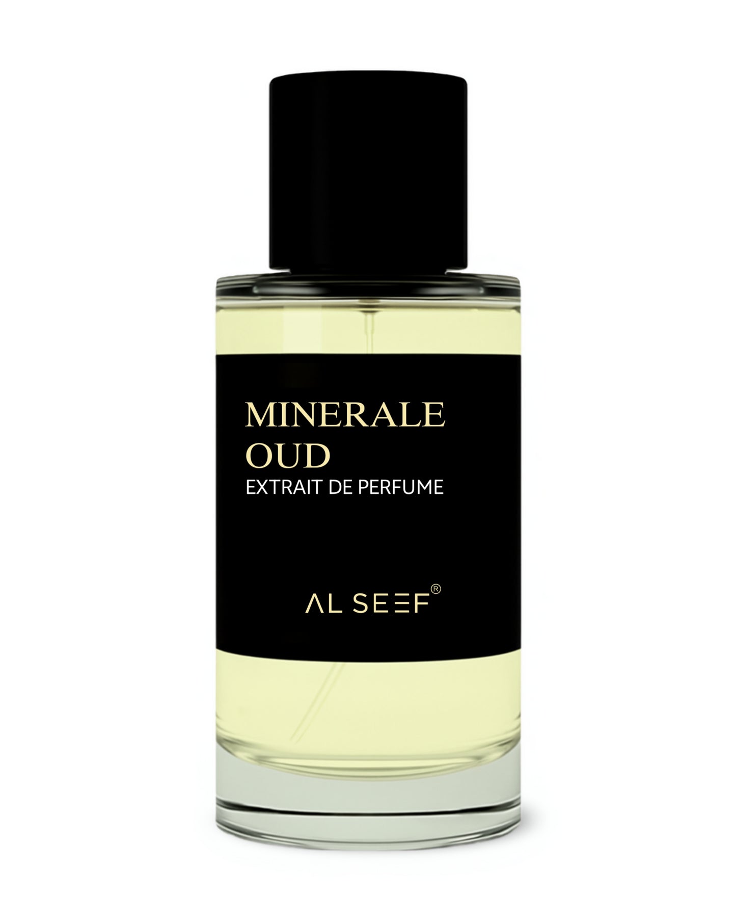 OUD MINERALE Premium Perfume Spray (30ml, 100ml) | Extrait De Parfum | Luxury Fragrance For Him
