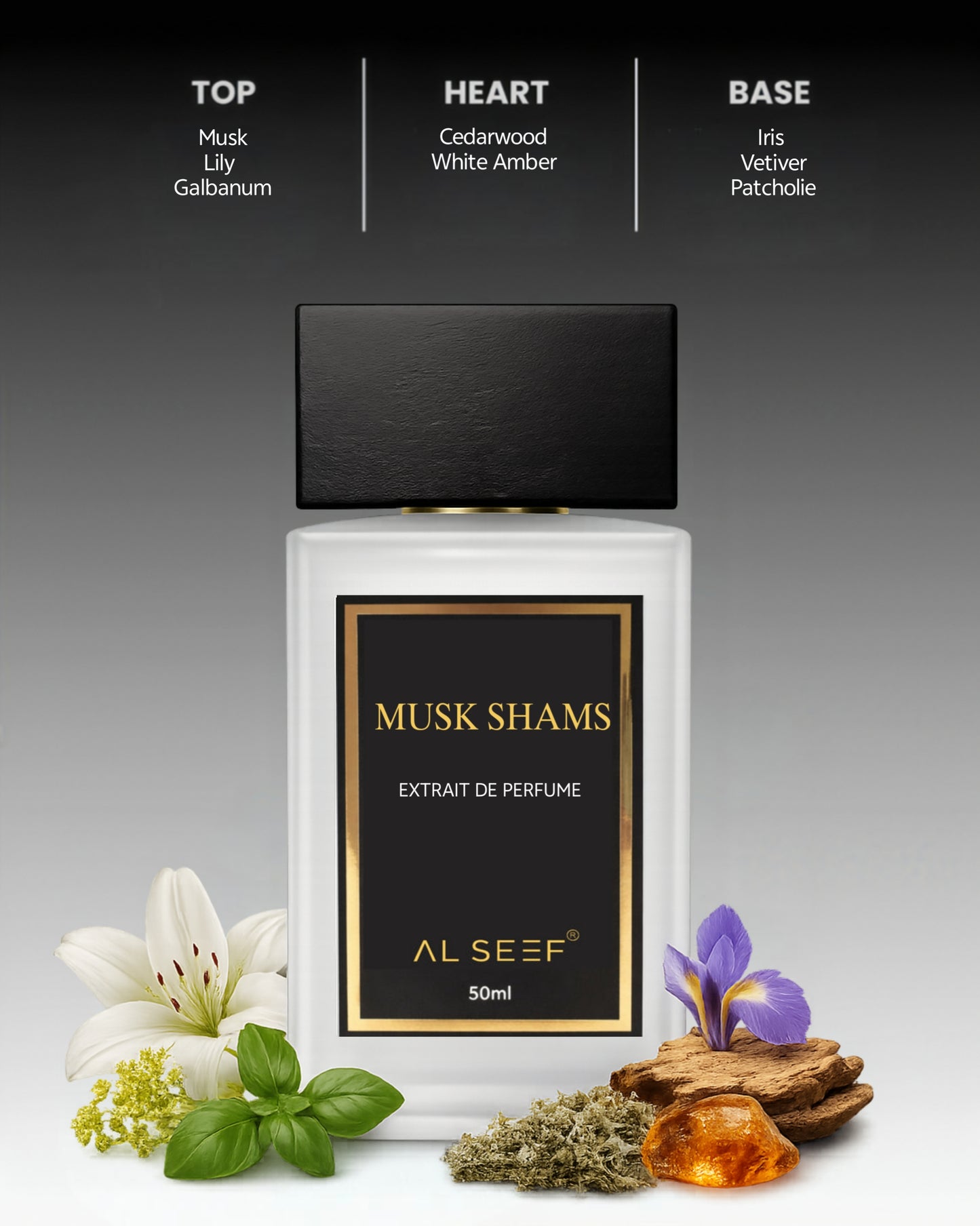 MUSH SHAMS Premium Unisex Perfume Spray (50ml) | Extrait De Parfum | Luxury Fragrance For Him and Her