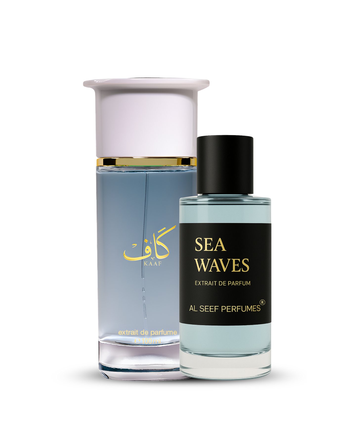 Sea Waves Perfume for Men (30ml & 100ml)| Extrait De Parfum | Ozonic Aquatic Floral Musky | Luxury Fragrance for Him