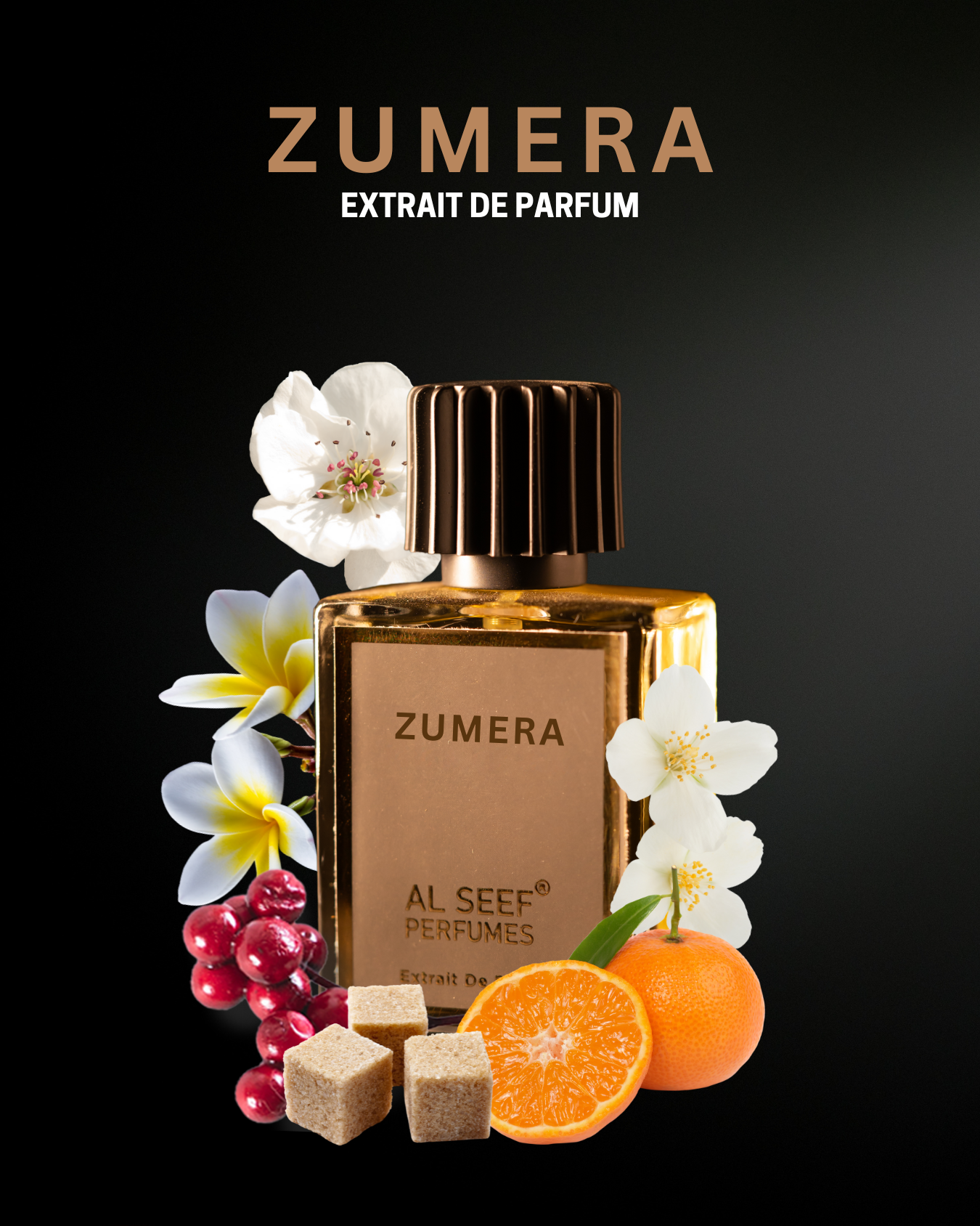 Zumera Premium Women Perfume Spray (50ml) | Extrait De Parfum (40%) Concentration | Luxury Fragrance For Her by Al Seef Perfumes